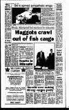 Staines & Ashford News Thursday 01 July 1993 Page 8