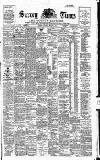 West Surrey Times Saturday 05 January 1895 Page 1