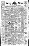 West Surrey Times Saturday 15 July 1905 Page 1