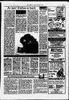 Acton Gazette Friday 02 November 1984 Page 41