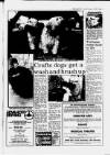 Acton Gazette Friday 12 February 1988 Page 21