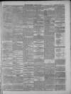 Middlesex County Times Saturday 19 June 1875 Page 3