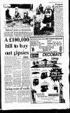 Amersham Advertiser Wednesday 31 March 1993 Page 13