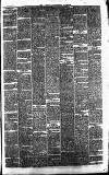 Central Somerset Gazette Saturday 06 February 1869 Page 3