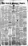 Central Somerset Gazette Saturday 20 February 1869 Page 1