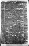 Central Somerset Gazette Saturday 06 March 1869 Page 3