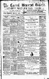 Central Somerset Gazette Saturday 01 March 1873 Page 1