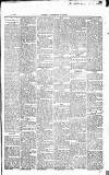 Central Somerset Gazette Saturday 19 April 1873 Page 5