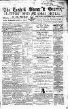 Central Somerset Gazette Saturday 07 June 1873 Page 1