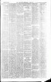 Central Somerset Gazette Saturday 13 June 1874 Page 3