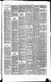 Central Somerset Gazette Saturday 25 December 1875 Page 3