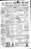 Central Somerset Gazette Saturday 30 June 1877 Page 1