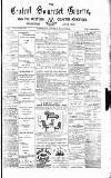 Central Somerset Gazette Saturday 17 July 1880 Page 1