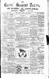 Central Somerset Gazette Saturday 31 July 1880 Page 1