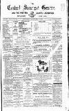 Central Somerset Gazette Saturday 02 September 1882 Page 1