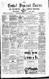 Central Somerset Gazette Saturday 05 January 1884 Page 1