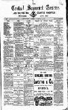 Central Somerset Gazette Saturday 19 January 1884 Page 1