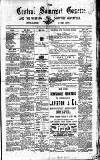 Central Somerset Gazette Saturday 08 March 1884 Page 1
