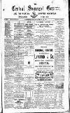 Central Somerset Gazette Saturday 22 March 1884 Page 1