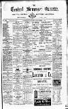 Central Somerset Gazette Saturday 01 November 1884 Page 1