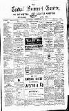 Central Somerset Gazette Saturday 11 July 1885 Page 1