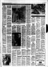 Central Somerset Gazette Thursday 10 January 1980 Page 13