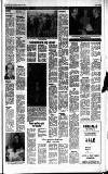 Central Somerset Gazette Thursday 17 January 1980 Page 13