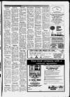 Central Somerset Gazette Thursday 11 June 1987 Page 17