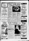 Central Somerset Gazette Thursday 11 June 1987 Page 31