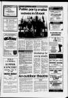 Central Somerset Gazette Thursday 18 June 1987 Page 31
