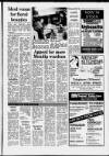 Central Somerset Gazette Thursday 03 September 1987 Page 11