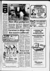 Central Somerset Gazette Thursday 10 September 1987 Page 17
