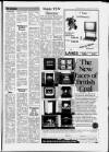 Central Somerset Gazette Thursday 15 October 1987 Page 19