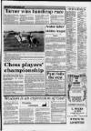 Central Somerset Gazette Thursday 07 January 1988 Page 47