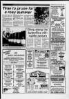 Central Somerset Gazette Thursday 03 March 1988 Page 19