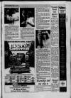 Central Somerset Gazette Thursday 04 August 1988 Page 11