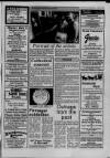 Central Somerset Gazette Thursday 01 September 1988 Page 31