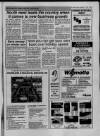 Central Somerset Gazette Thursday 15 September 1988 Page 29