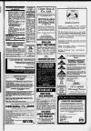 Central Somerset Gazette Thursday 12 January 1989 Page 41