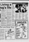 Central Somerset Gazette Thursday 27 July 1989 Page 37
