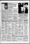 Central Somerset Gazette Thursday 08 February 1990 Page 60
