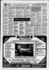 Central Somerset Gazette Thursday 31 January 1991 Page 17