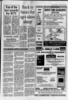 Central Somerset Gazette Thursday 31 January 1991 Page 19