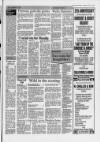 Central Somerset Gazette Thursday 28 February 1991 Page 17