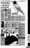 Reading Evening Post Saturday 12 July 1986 Page 13