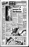 Reading Evening Post Saturday 08 October 1988 Page 17