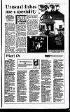 Reading Evening Post Friday 27 September 1991 Page 29