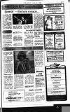 Hammersmith & Shepherds Bush Gazette Thursday 24 April 1980 Page 17