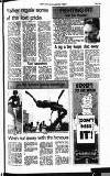 Hammersmith & Shepherds Bush Gazette Thursday 03 July 1980 Page 41