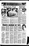 Hammersmith & Shepherds Bush Gazette Thursday 23 October 1980 Page 35